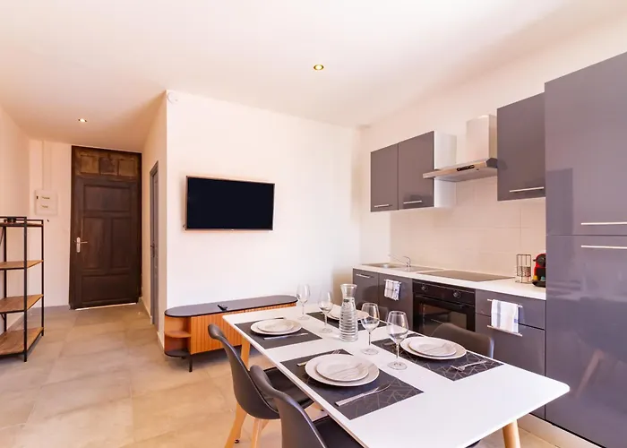 Appartement Moderne Et Elegant Michel Torrent