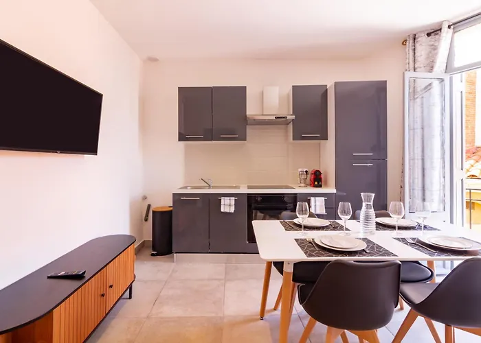 Appartement Moderne Et Elegant Michel Torrent